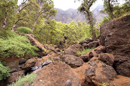 旅行巴兰科德拉斯皮RedondasMagmatic岩石卡尔德拉塔布里恩特公园生物圈保护区赞比亚环境保护署LIC拉帕尔马加那利群岛背景图片