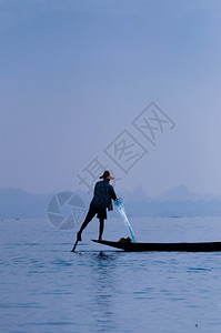 抓住农业茵莱湖的渔夫在一只脚上工作茵莱湖的渔夫在一只脚上工作缅甸渔民图片