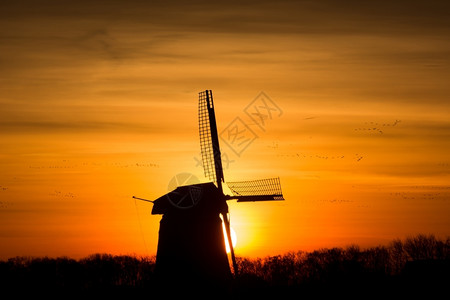 天空日出时的荷兰风车力量堤防图片