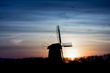 老式的传统日出时荷兰风车环境图片
