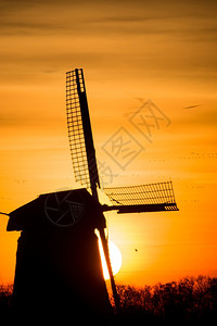 老的背光浪漫日出时的荷兰风车图片
