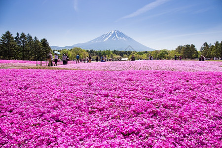 天都富士山河口高清图片