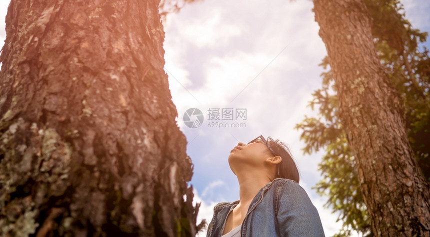 一位快乐的女士站在一棵雄伟的树旁仰望着春园中最享受的自然环境旅行和非毁林概念松弛绿色公园图片