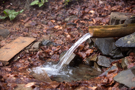 木头石落叶间的纯净水沿着木沟流动石落叶间的水源户外石头背景图片