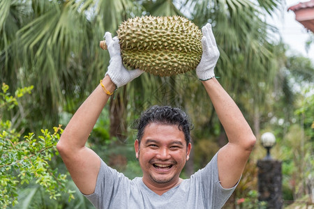 COCO都可受欢迎的异国情调尖峰亚洲男子农民持有都连是泰国的水果之王亚人有一个钉子壳和甜食可在泰国街头市场购买亚洲农民拥有都连是水果之王的亚背景