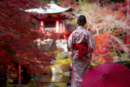 艺妓公园在日本京都旅游自然生命的秋季天日本穿传统基米诺礼服的年轻日本女孩旅行者站立在Digoji寺庙配着红塔和木叶游客戏服背景