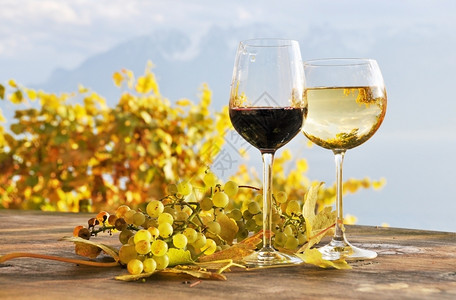 文化红酒杯瑞士拉沃地区谁的葡萄酒和杯子旅行图片