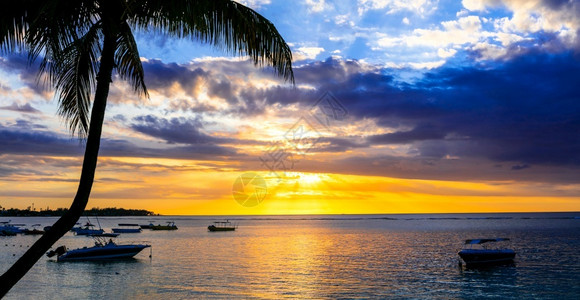 热带日落毛里求斯岛Trouauxbiches海滩岸假期太阳图片