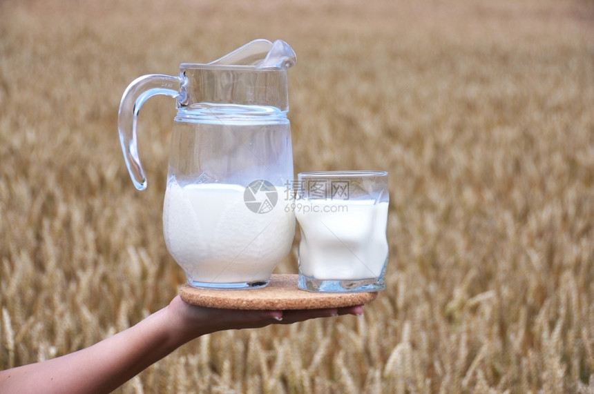 草自然乡村的Jug牛奶反对麦田图片