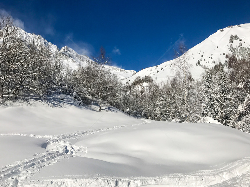 冬季雪景风光图片