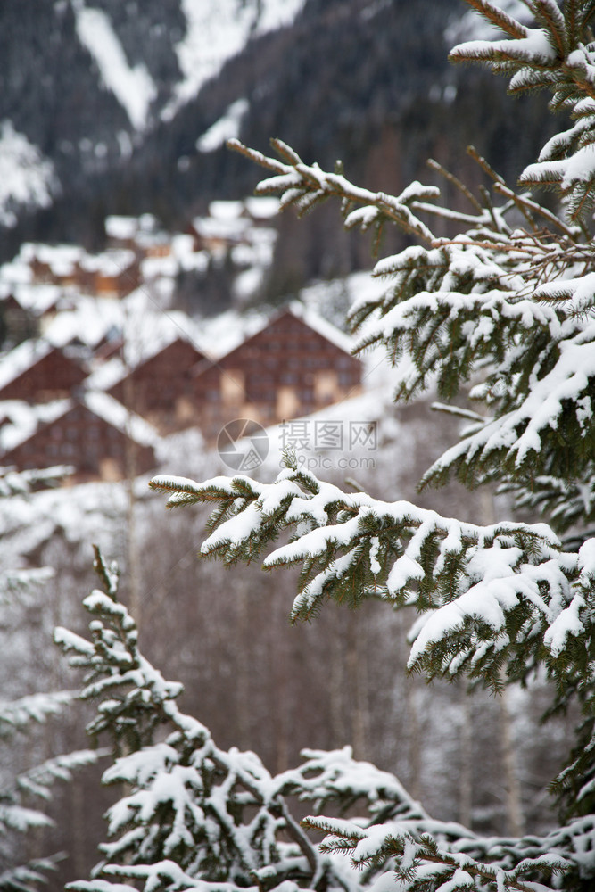 冬季雪景风光图片