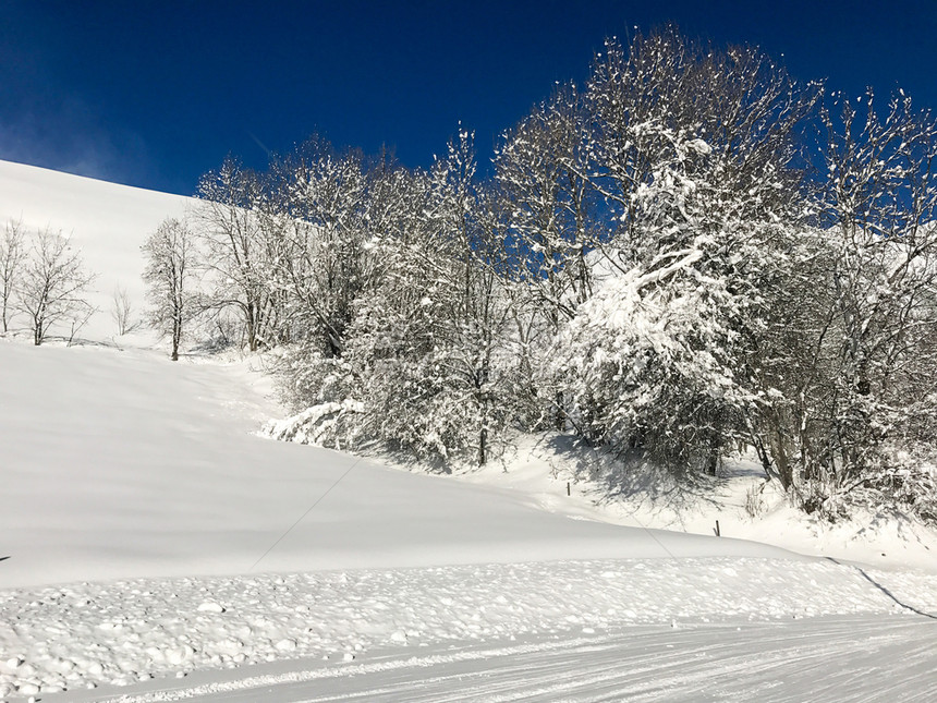 冬季雪景风光图片