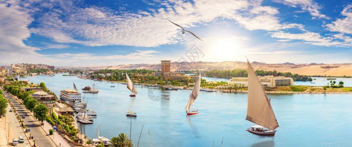 阿斯托里亚酒店非洲水池埃及阿斯旺市和帆船美丽的尼罗河全景空中观察埃及人背景