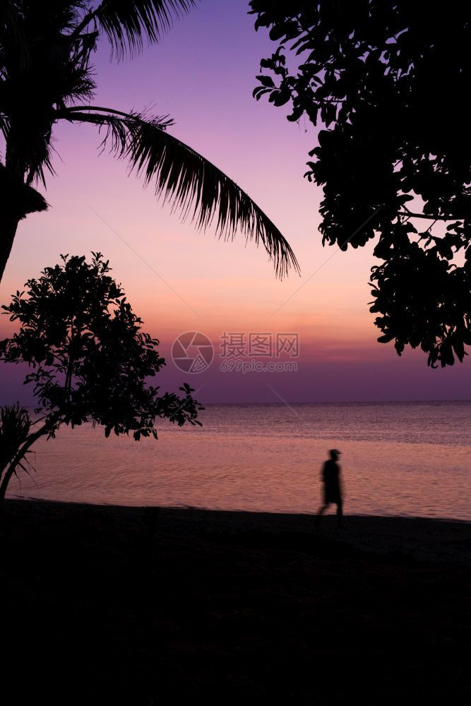 美丽的夕阳巴厘棕榈树的周光和海洋粉色紫的风景自然人徒步美丽日落巴厘棕榈树的周光和海洋粉色紫的月光人徒步橙印度黄色的图片