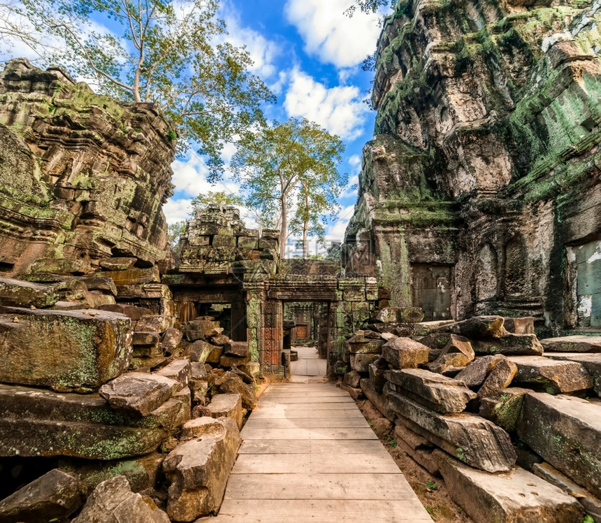 森林热带世界TaProhm古老高棉建筑塔普罗姆寺庙在柬埔寨暹粒的吴哥Wat综合体中树有巨大的班扬两幅图像全景图片