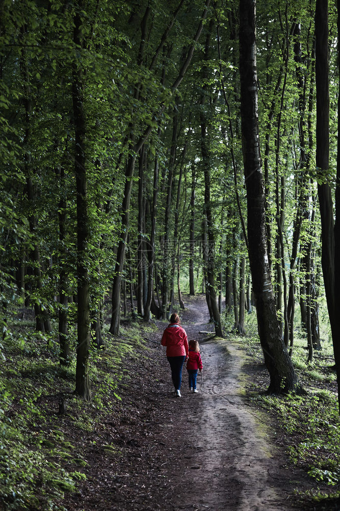 童年夏天与母亲和女儿一起在森林中走过渡闲暇时间度假在森林里游荡接近自然人们图片