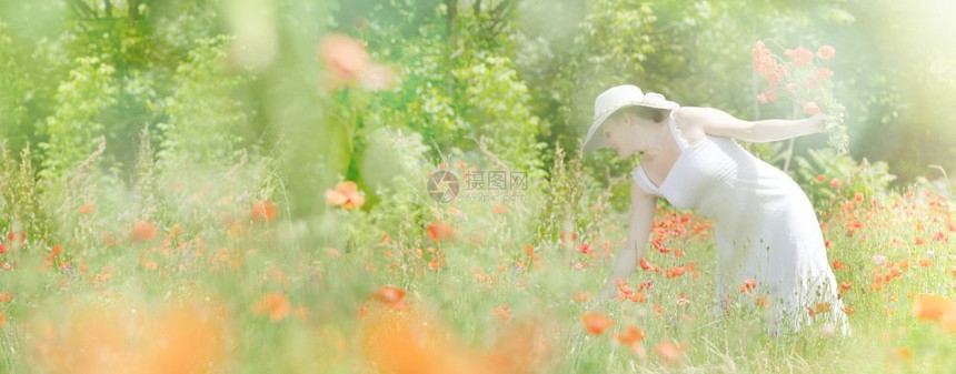 年轻的迷人女子在草地里收集红花朵她穿着白色礼服和帽子小雾太阳光喜悦脸图片