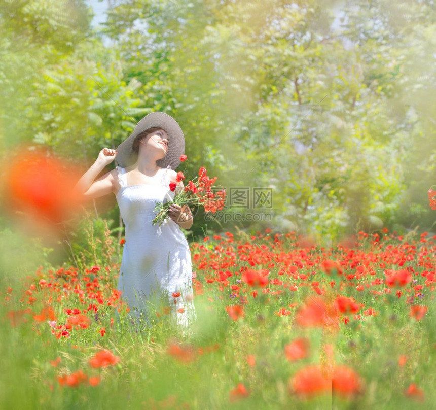 迷人的年轻女子在草地里收集红花朵她穿着白色礼服和帽子小雾太阳光颜色白种人青年图片