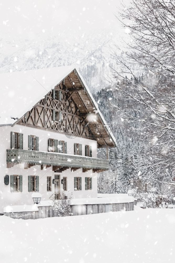 雪地房屋和树木的阿尔卑斯山风景观有雪覆盖田地房子和树林神奇的柔滑场景背在雪瀑德国欧洲单色中音调与自然光霜蓬松的宁静图片