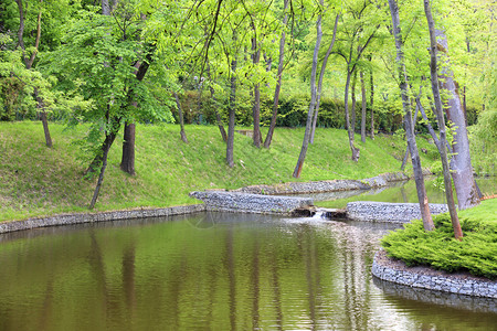 园林绿化落叶方向在一个美丽的公园中一个森林湖其水分连流溢出于一个美丽的公园位于各种枯树之间在相连接的可碎石绿草和软阳光下的剪削灌背景