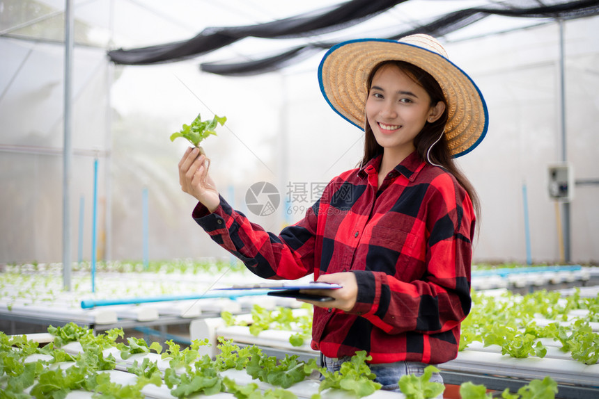 使用平板和笔记本检查使用水栽培剂种植的有机蔬菜质量亚洲女农民使用平板和笔记本检查用水栽培法种植的有机蔬菜质量农学家细心园丁图片