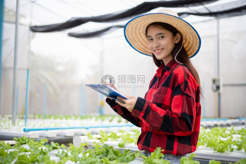 使用平板和笔记本检查使用水栽培剂种植的有机蔬菜质量亚洲女农民使用平板和笔记本检查用水栽培法种植的有机蔬菜质量食物微笑园艺家图片