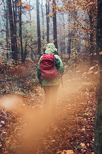 一盔一带宣传栏徒步旅行在秋天寒冷的一带着背包在森林周围游荡的女人回到中年活跃女视野积极走在森林道路上花时间女人与背包在森林周围游荡秋天寒冷的一背景