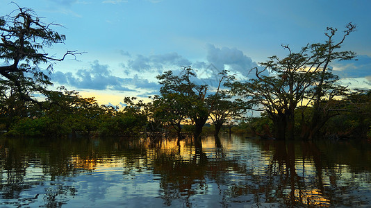 蓝色的云平静厄瓜多尔亚马逊河流域库贝诺环礁湖内淹水森林中的黄日落蓝天空和水上的黄色反光背景