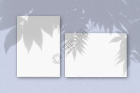 墙壁上的植物艺术纸板接近张白色纹理纸贴在蓝墙壁上带有植物阴影覆盖的模型自然光从异国植物投下阴影平躺顶视图水平方向2带有植物阴影的模型覆盖自然设计图片