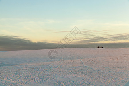 景观在大雪降后飘冬季天有一张照片冬天的雪漂流黑暗晴天图片