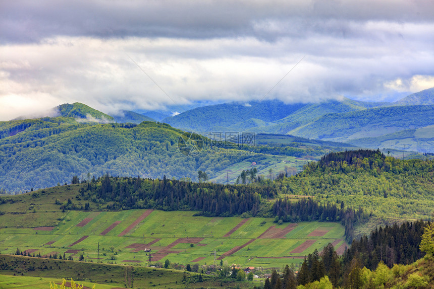 当地居民的长方形农耕地位于山坡上的一个谷中其背景是在低灰云笼罩的喀尔巴阡山脉风光照人景的背之下在以雾蒙着的喀尔巴阡山脉风景背下山图片