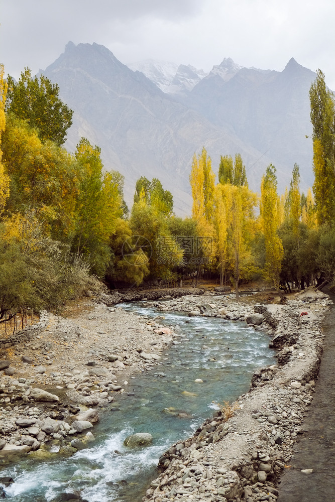 与巴基斯坦秋天ShigarGilgitBaltistan的Karakoram山脉相比在树上流经黄叶花粉树的河流自然景观图范围空气图片