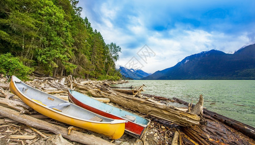 利卢埃特加拿大不列颠哥伦比亚省彭贝顿Lilloooet湖海岸渔民金子背景