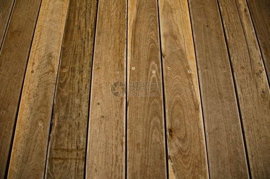 楼层和大背景的棕色木地板布图供下层使用树一种图片