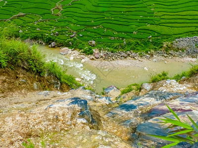 越南北山SapaChapa附近的老挝稻田越南泰食物部落热带图片