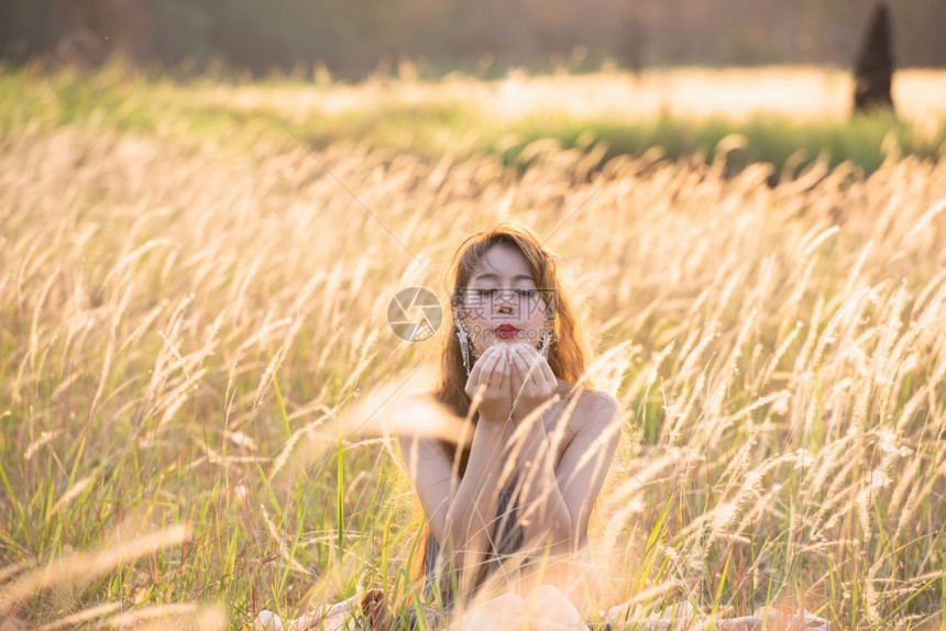 草地夏天盛开的田野中快乐年轻女士在夜晚的阳光下从草上抽出手毛花荒野图片