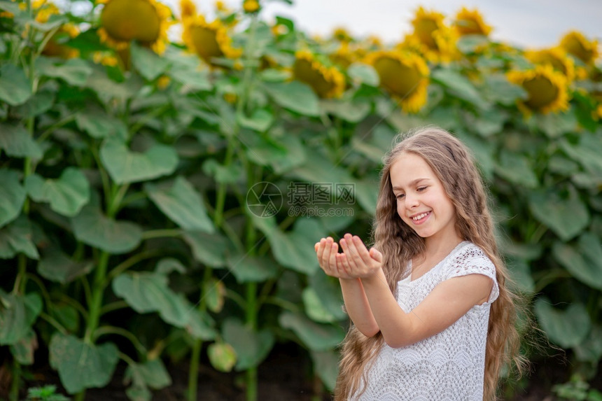一个长发的女孩美丽肖像在田地背景上有着向日葵花充满欢乐的情感伸展相亲手看着拍一个长发女孩的漂亮肖像在有向日葵花的田地背景上人们踪图片