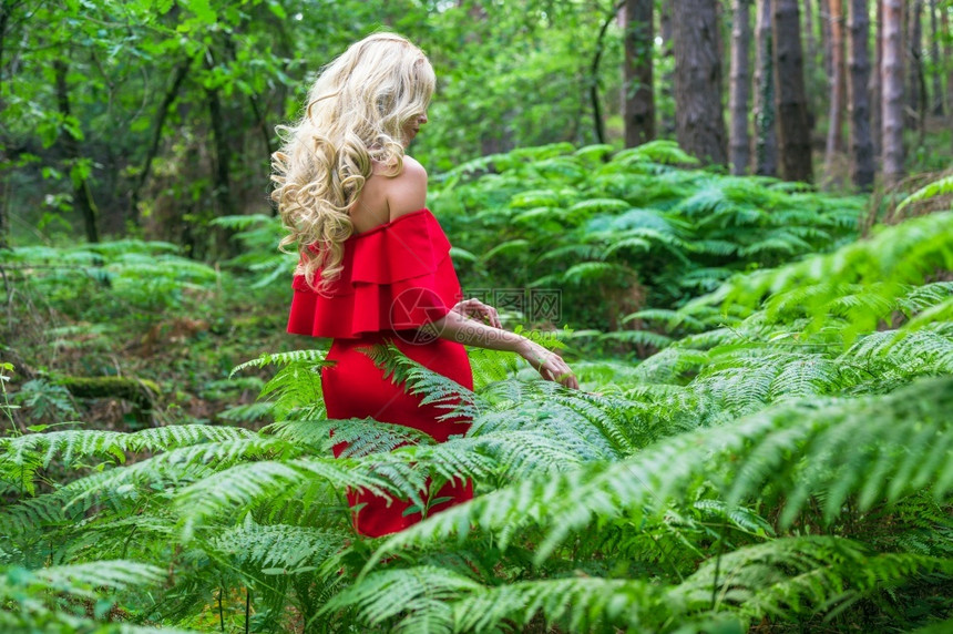 一个美丽的金发女背影身着一条红洋装触摸着仙女森林里的一头野兽大气中最美极了高品质的照片美丽金发女的背影穿著一件红洋装碰着仙女森林图片