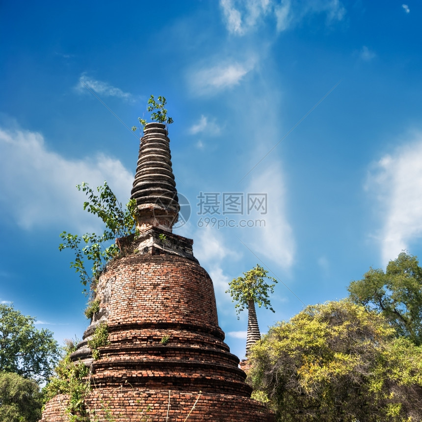 丛林旅游古老的废墟在蓝色天空下生长树木泰国旅行地貌和目的Ayutthaya岛吸引力图片