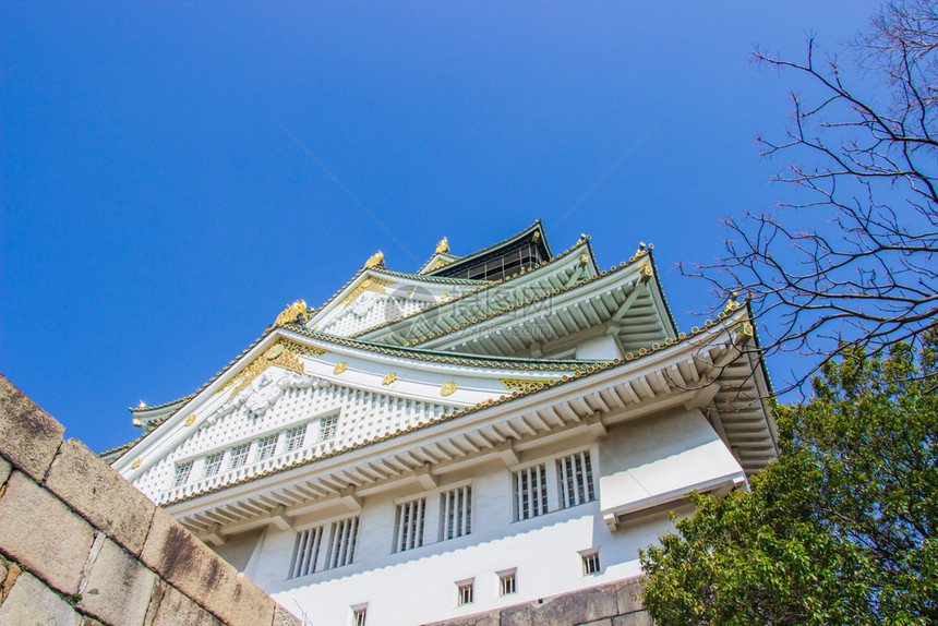 三月十四日2018年大阪城堡在朝仓盛开花的期间日本即将开花教科文组织亚洲人历史图片