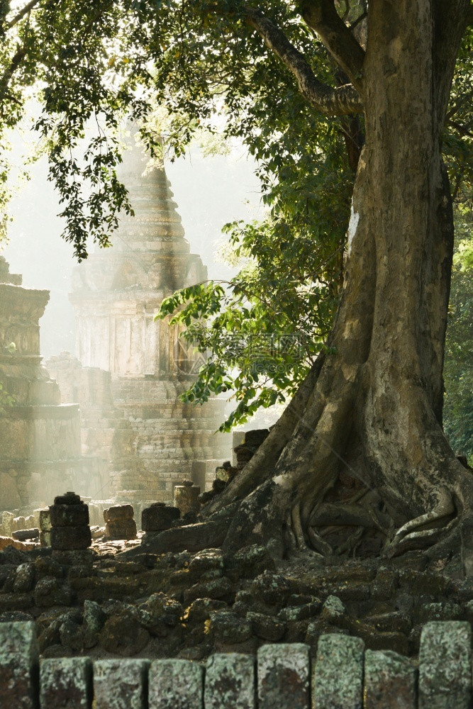 素可泰雕塑日出时古老的寺庙和塔在泰国苏霍历史公园Sukhothai古石墙上种植大树亚洲人图片