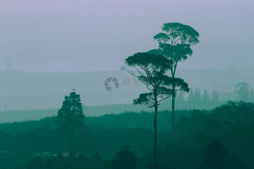 天堂夜晚橙色太阳的浅光背景下风山林木环影雄伟图片