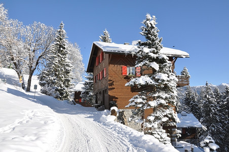 冬季被雪覆盖的小屋图片
