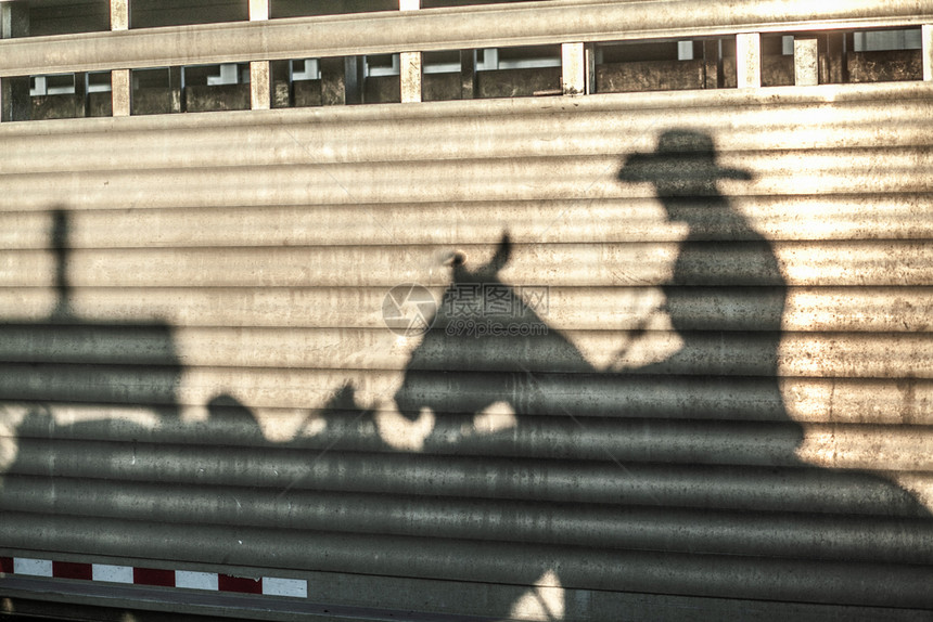 手帽子牛仔舞女骑马士在轨铁上闪光农田图片