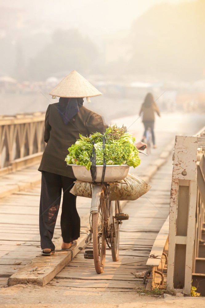 一名越南高龄妇女背面看到一位越南老妇人骑着旧自行车走路蔬菜穿过古老的木桥通往潮湿市场在越南DienBienPhu农村景点以蔬菜为图片