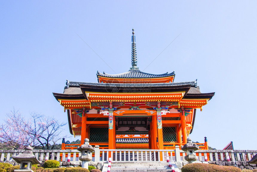 在日本京都盛开的樱桃花之期间清水津寺庙内美丽的建筑将会在日本京都开花亚洲人文化颜色图片