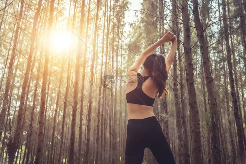 秋天美丽的瘦女选手在清晨的锻炼和练习概念中伸展手臂温暖到和平的森林中跑动在秋季节主题下自然健康概念早晨山图片