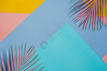 棕榈叶背景图夏日彩色背景图背景