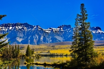 雪麦金树木秋的色和塔尔博特湖位置的落岩山峰位于北美加拿大艾伯塔省贾斯珀以北黄头高速公路16号上图片