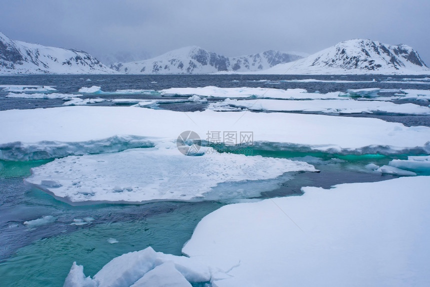 斯匹次卑尔根生态系统世界漂浮的冰和雪地山脉阿尔伯特一号陆地北极斯匹茨贝根瓦尔巴德挪威欧洲图片